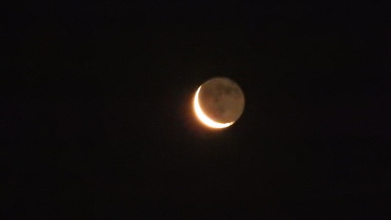 DSCN4340