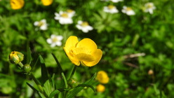 DSCN8972