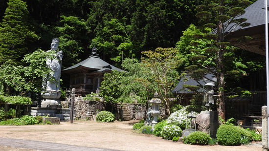 DSCN2781