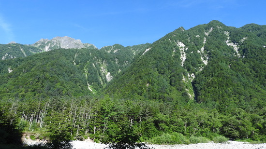 DSCN8101