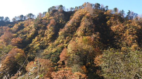 DSCN3919