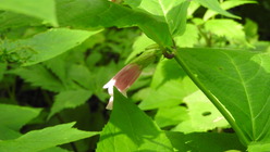 DSCN9379