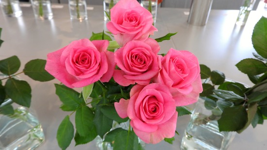 DSCN0324