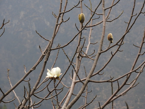 DSCN2921