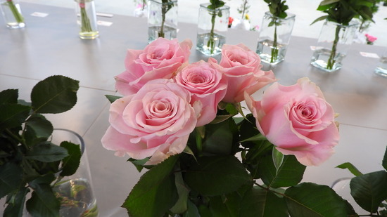DSCN0335