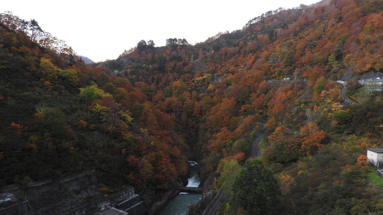 DSCN4402