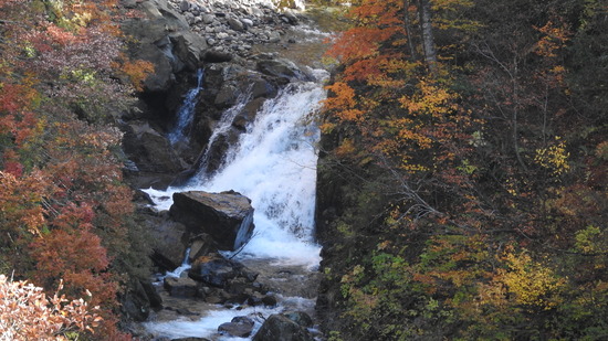 DSCN3968