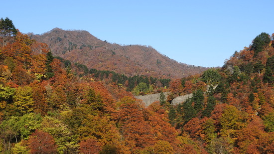 DSCN4602