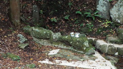 DSCF1531