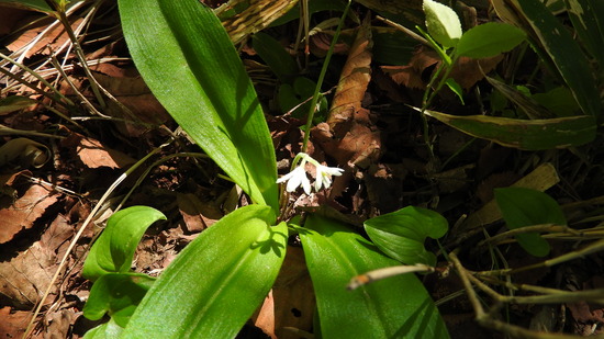 DSCN1655