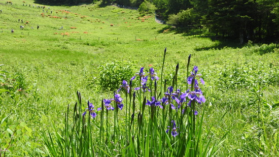 DSCN3332