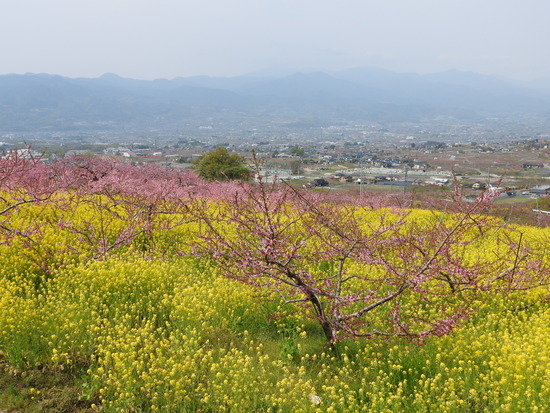 DSCN2551