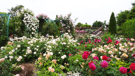 DSCN0163-2