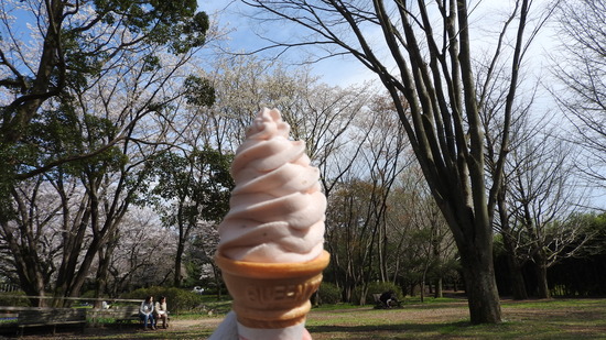DSCN0665