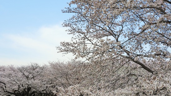 DSCN0513 (2)