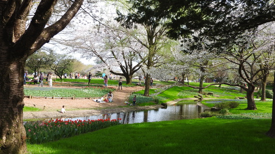 DSCN0742