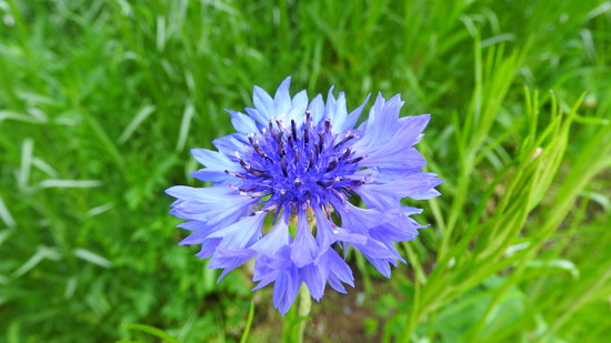 DSCN1903