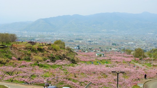 DSCN2319 (2)