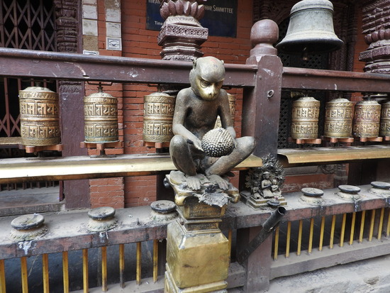 DSCN5483