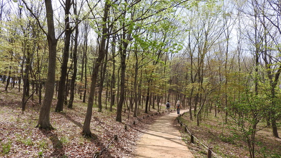 DSCN0608