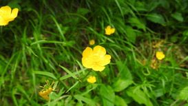 DSCN8328