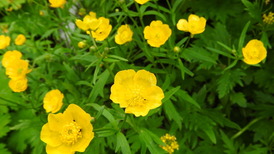 DSCN1530