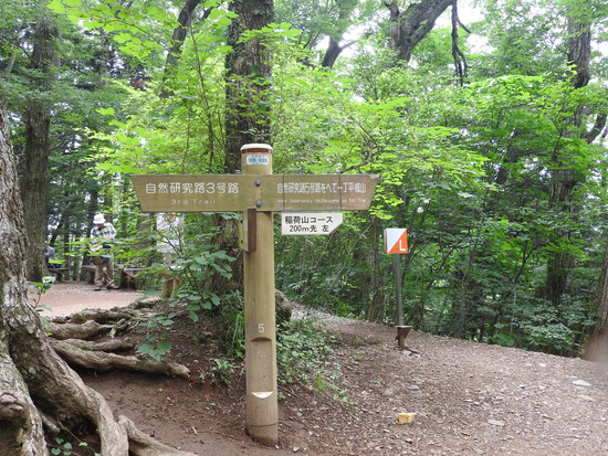 DSCN6440