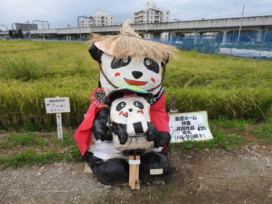 DSCN1178
