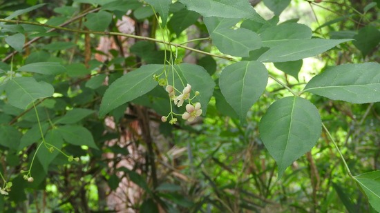 DSCN2319-1