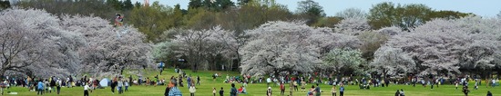 DSCN0468 (2)