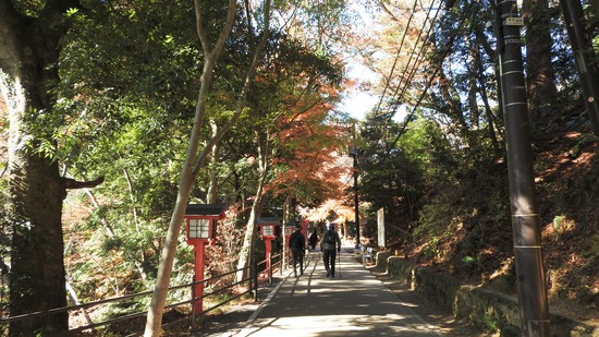 DSCN5016