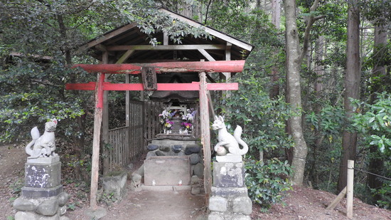 DSCN2248