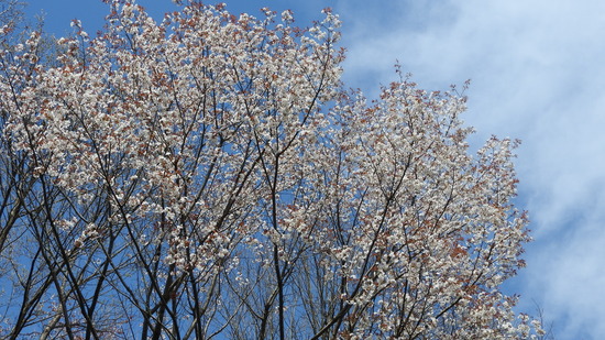 DSCN0565