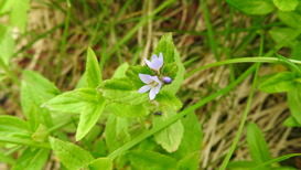DSCN1550