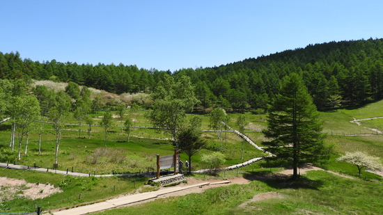 DSCN1397