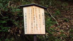 DSCF1684
