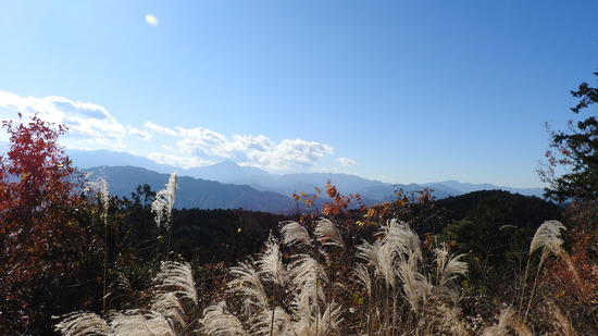 DSCN5121