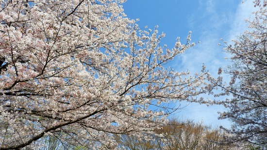 DSCN0707 (2)