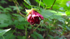 DSCN9152