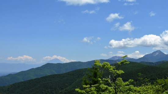 DSCN0706-1