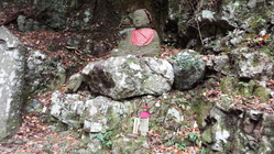 DSCF1539