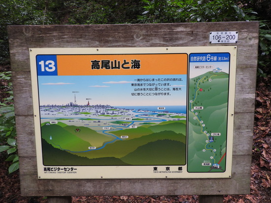 DSCN6407