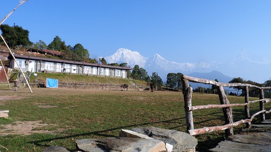 DSCN4524-1