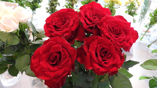 DSCN0341
