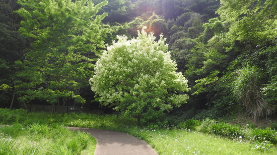DSCN2029