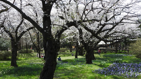 DSCN0682