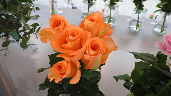 DSCN0336