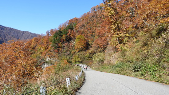 DSCN4105