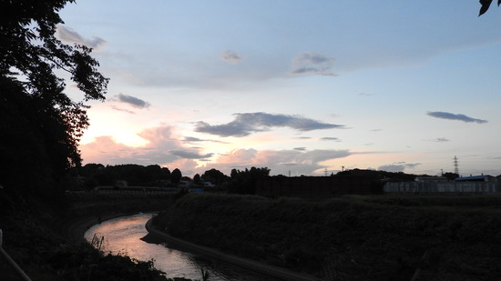 DSCN5398