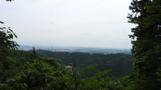 DSCN2271